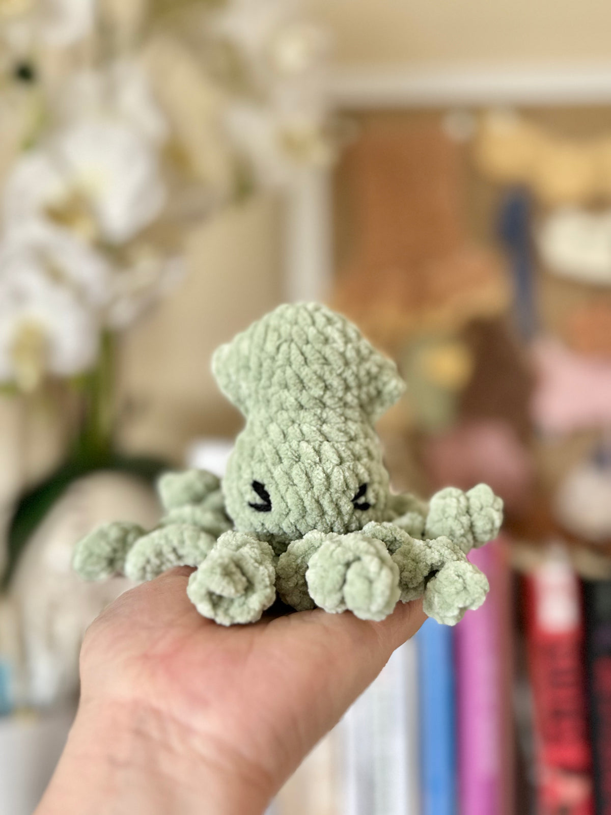 Squid