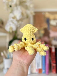 Squid
