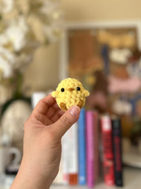 Yellow Baby Chick