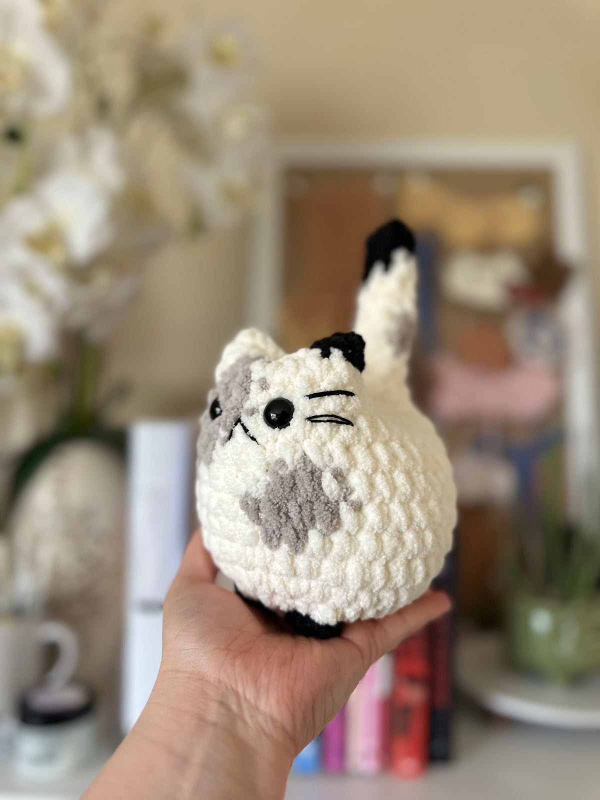 Momo the Cat