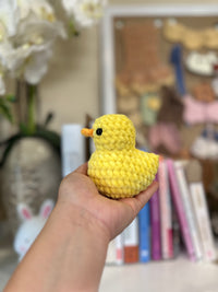 Rubber Duck