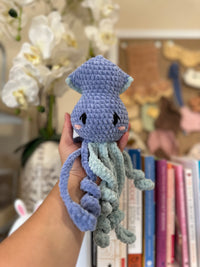 Squid