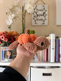 Small Pumpkin Fred the Turtle