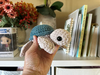 Small Fred the Turtle