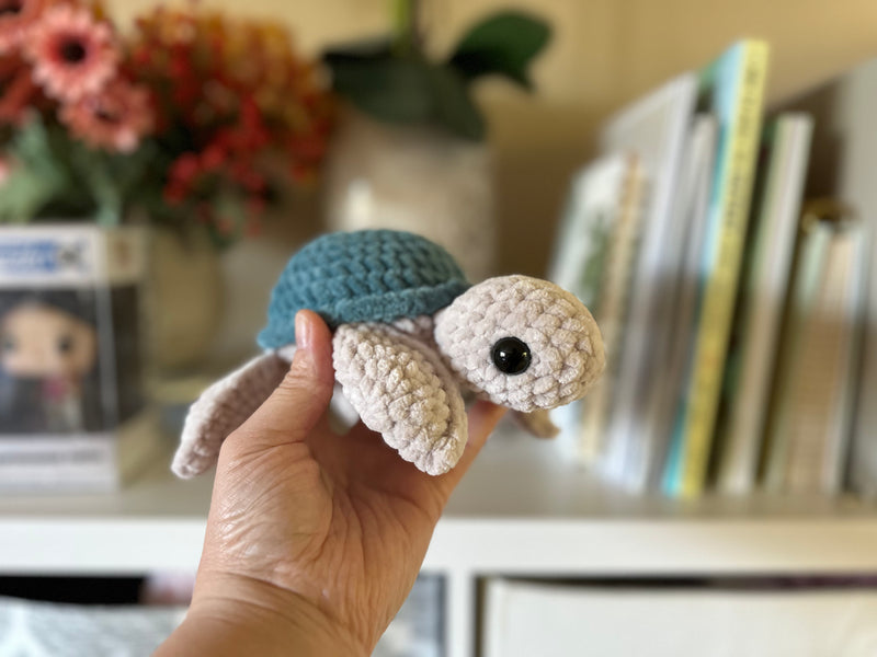 Small Fred the Turtle