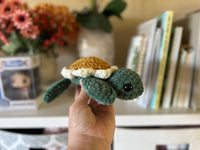 Small Flower Fred the Turtle