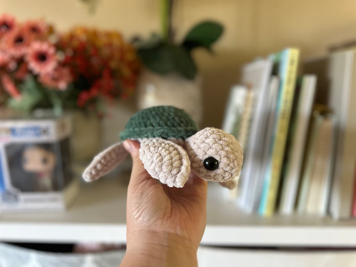 Small Fred the Turtle