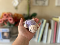Mini Sea Turtle