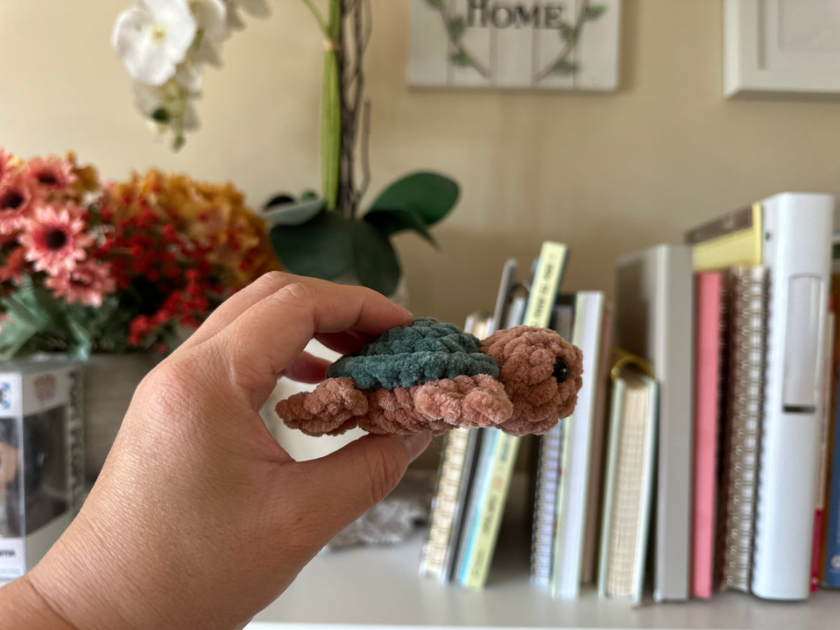 Mini Sea Turtle