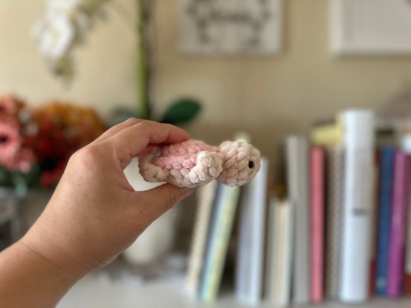 Mini Sea Turtle