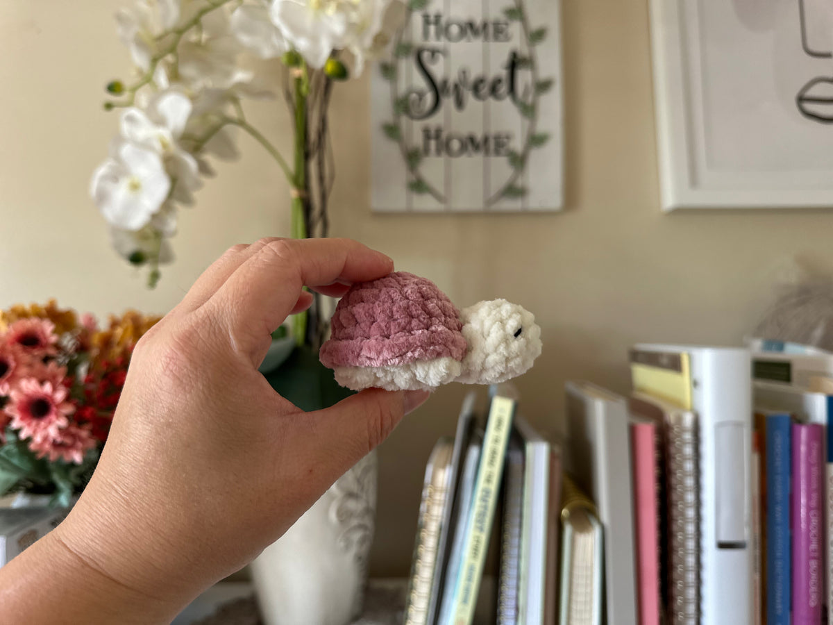 Teeny TIny Turtle