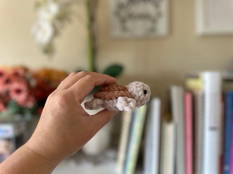 Mini Sea Turtle