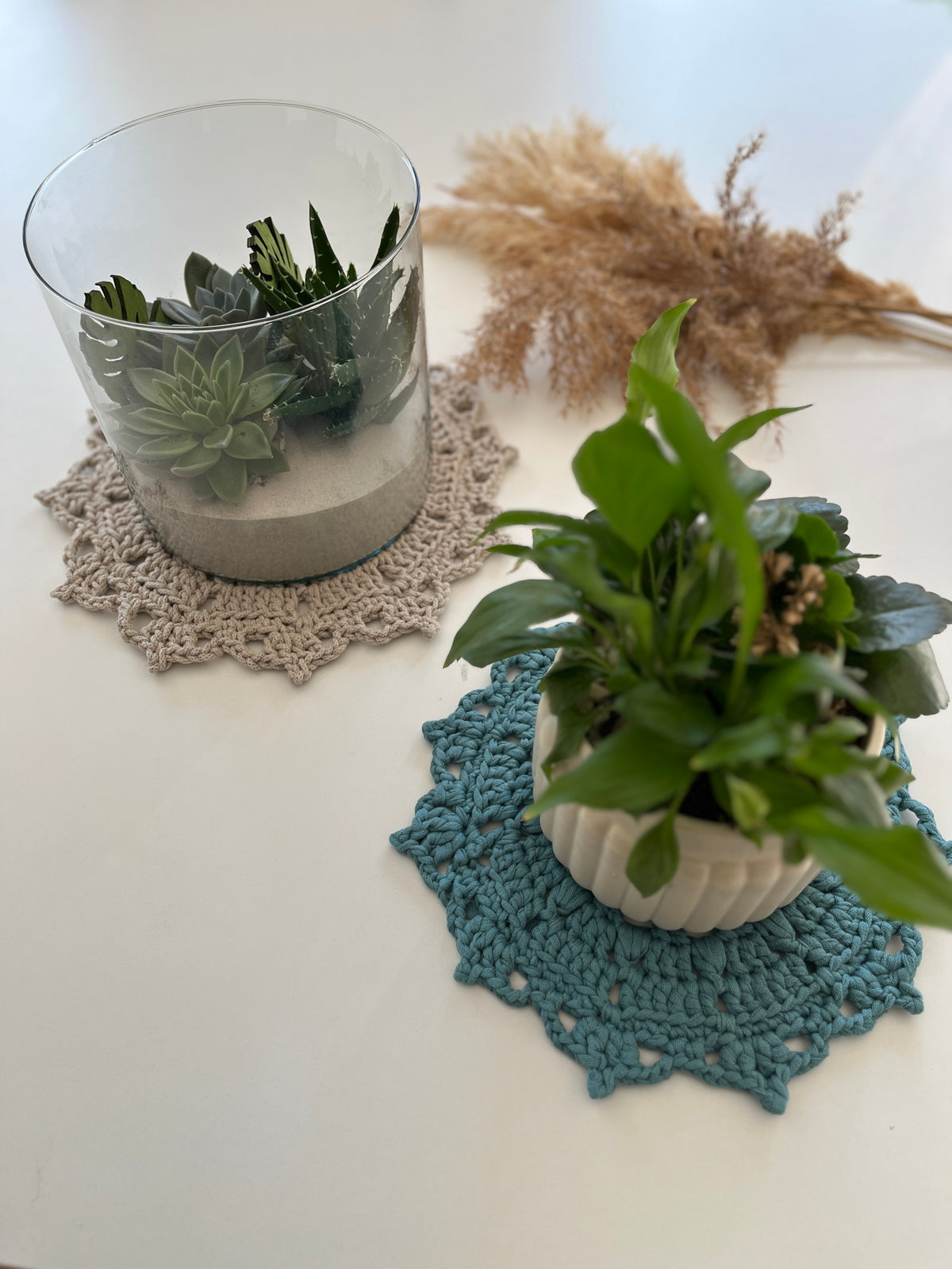 Celestia Plant Coaster Crochet Pattern